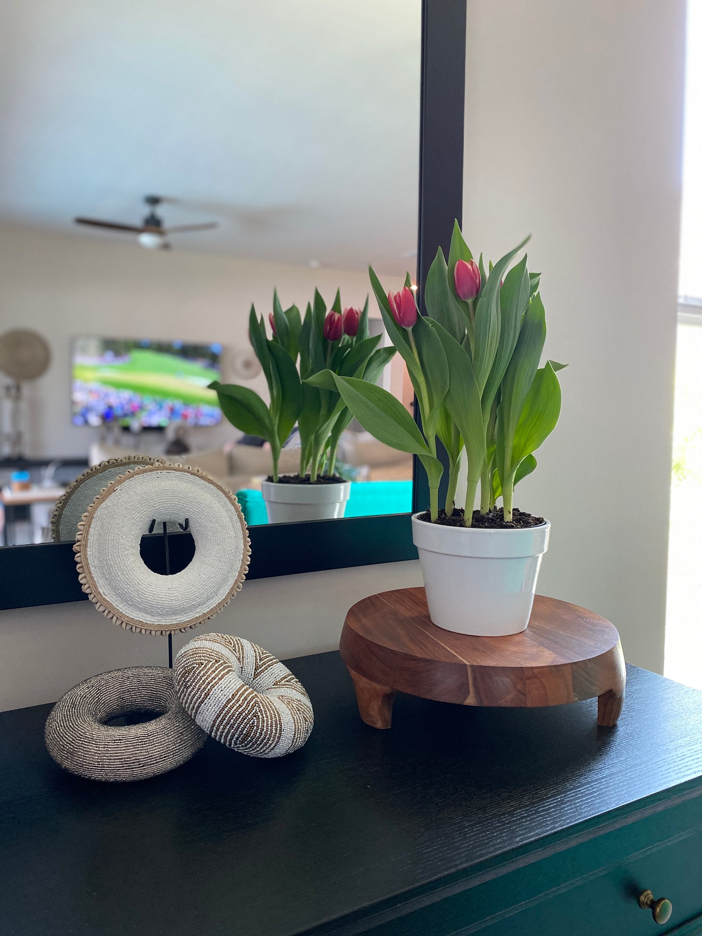 Beaded Ring on Stand (8 in.)  – Silver RP22S