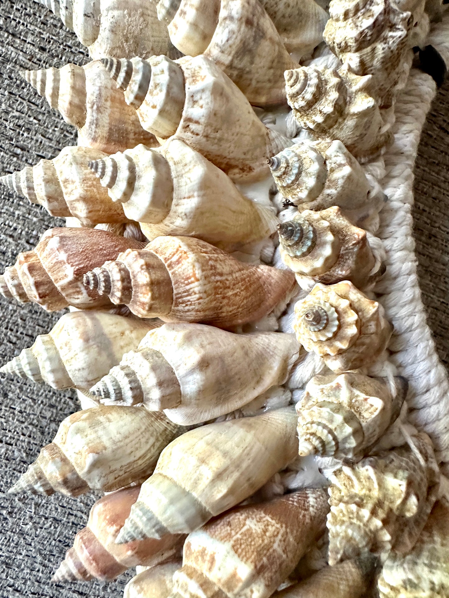 Decorative Shell Necklace (15in) - SN02M